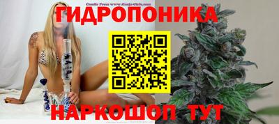 трава Краснознаменск