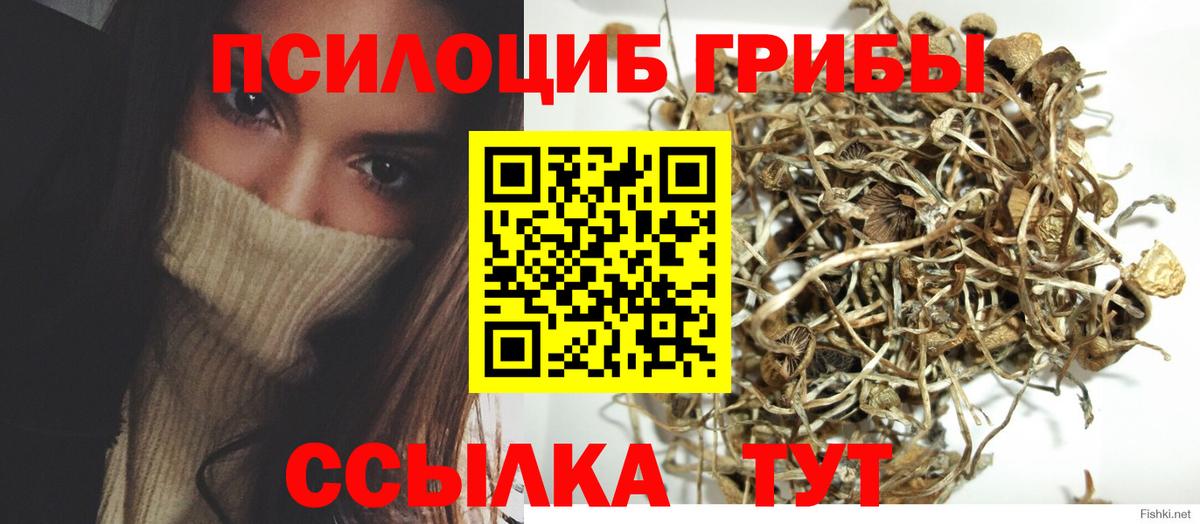 Псилоцибиновые грибы мухоморы Благовещенск